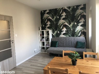 Rakowicka 20A, od stycznia 2026