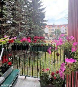 Jarosław, jarosławski, podkarpackie