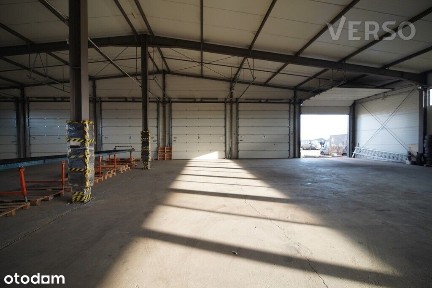 Świebodzice, świdnicki, dolnośląskie