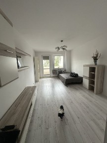 Gliwice. 3 oddzielne pokoje przy Politechnice śląskiej.polecam bardzo