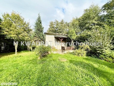 Dom z otoczeniu zieleni Czechowice