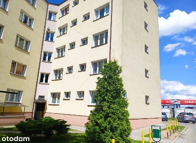 Przytulne mieszkanie z potencjałem