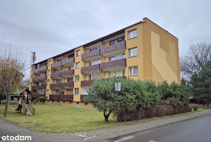 sprzedaż 2 pokoje Wołów