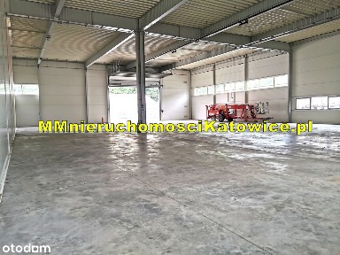Hala do wynajęcia śląskie Katowice plac biura socjal.