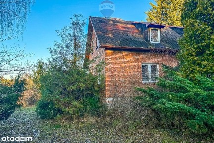 Dom z dużą działką przy lesie | Kębliny, g. Zgierz