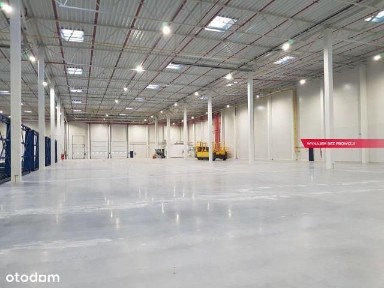 Hala/Magazyn, 5 000 m², Łysomice