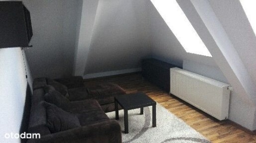 mieszkanie do wynajęcia