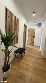 Po generalnym remoncie, 3pokoje, wysoki parter, niski czynsz!