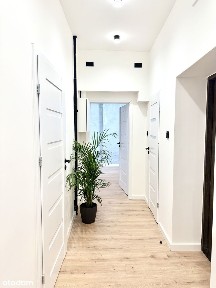 3 pokoje w Centrum Wrocławia | Galeria Dominikańska | po remoncie