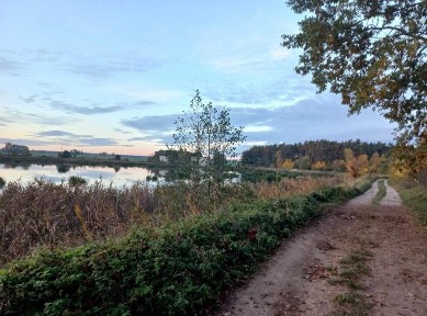 Dom pod lasem do wynajęcia