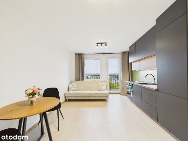 3 pokoje po remoncie blisko centrum Katowic!