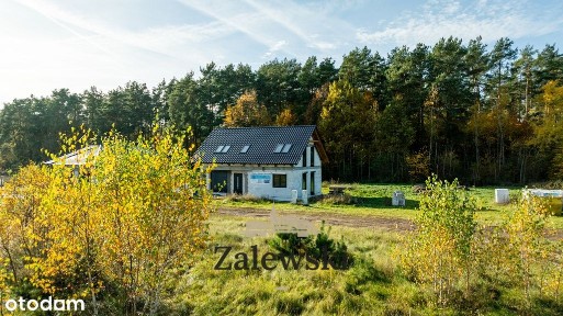 Dom Baczyna przy lesie