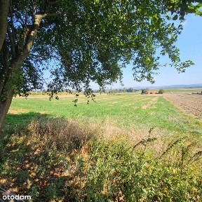 Cudowny dom z widokiem na Tatry