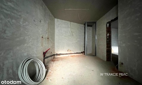 3 pokoje | 1 piętro | Cisza i Zieleń | w Centrum