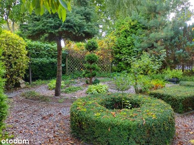 Duży dom i działalność gospodarcza