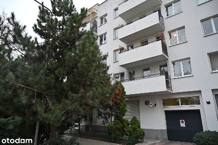 Lokal usługowy z trzema witrynami - do wynajęcia bezpośrednio