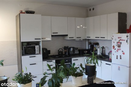 3 pokoje z dużym ogrodem, Czmoń koło Kórnika