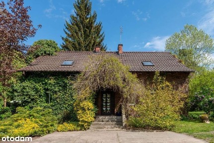 Radzewice, Mosina, poznański, wielkopolskie