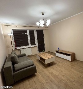 Do najmu 2 pokoje Katowice Gliwicka 208 blok winda parking