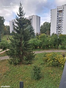 Narożne 3 pokoje z oddzielną kuchnią Tarchomin