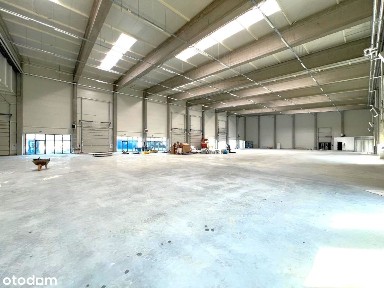 Hala, Rzeszów Dworzysko pow. od 390m2 do 1515m2