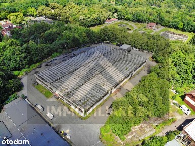 Hala magazynowo-produkcyjna 4 799 m² Ruda Śląska, inwestycja z najemcą