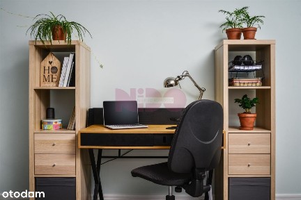 Świąteczna cena specjalna- sprawdź szczegóły