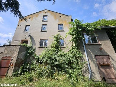 ul. Kasztanowa, Bucz, Przemęt, wolsztyński, wielkopolskie