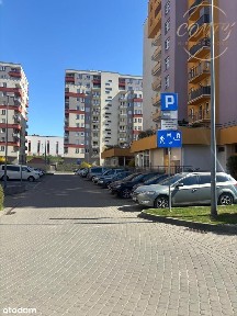 Frontowy lokal użytkowy- 48,2m² - al. 29 Listopada