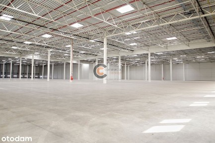 magazyn wysokiego składowania| 0% prowizji