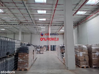 Nowoczesna hala na wynajem w Pruszkowie 1630 mkw.