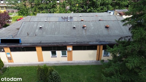 Biura, hale magazyny na sprzedaż - wynajem Porcelanowa Katowice