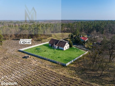 Dom na dużej działce pod lasem, Szczepanów