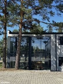 Niwy, Daleszyce, kielecki, świętokrzyskie