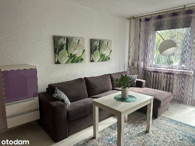 Komfortowe 2 pokojowe mieszkanie z balkonem