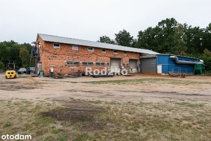 Hala/Magazyn, 520 m², Kruszyn