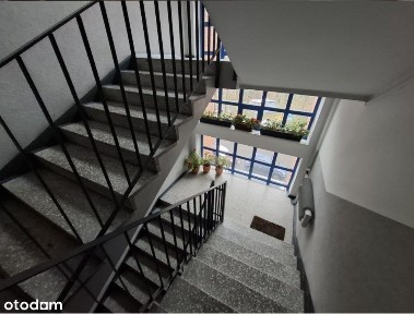 ul. Józefa Ryszki, Klimzowiec, Centrum, Chorzów, śląskie