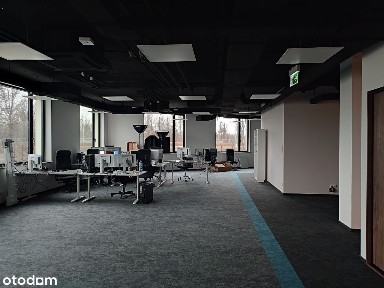 ul. Wał Miedzeszyński, Las, Wawer, Warszawa, mazowieckie