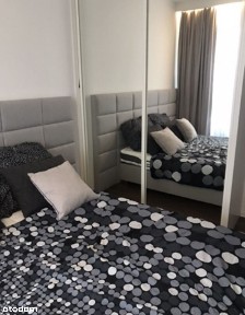 Błonia Wilanowskie, Wilanów, Warszawa, mazowieckie