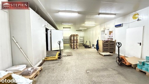 Hala/Magazyn, 160 m², Jelenia Góra