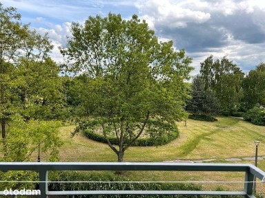 ul. Walentyny Tierieszkowej, Gołonóg, Gołonóg Północny, Dąbrowa Górnicza, śląskie