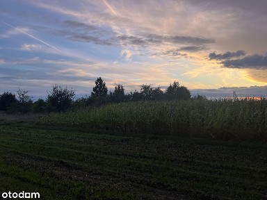 Gospodarstwo +Dom mieszkalny +grunty rolne na sprzedaż