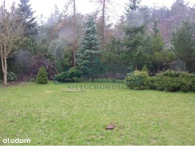 al. Henryka Sienkiewicza, Nieporęt, legionowski, mazowieckie