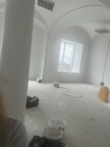 Dzialka 52 ar, 3 mieszkania, 2 lokale uslugowe, budynek gospodarczy