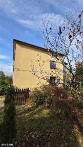 Wodzisław Śląski, wodzisławski, śląskie