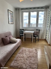 Mieszkanie w centrum miasta, 2 pokoje, widok!