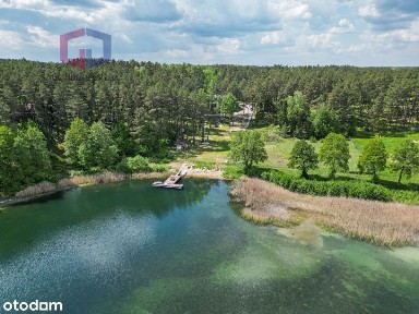 650 m² w lesie z linią brzegową jeziora Świętajno