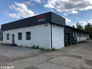 Pszczyna, pszczyński, śląskie