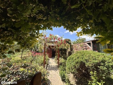 Darż, Maszewo, goleniowski, zachodniopomorskie