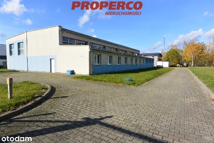 Hala pow. 588 m2, Dobrów, gm. Tuczępy